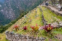 Peru - Machu Picchu